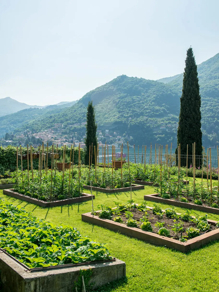 Passalacqua Luxury Hotel Lake Como 00 Orto