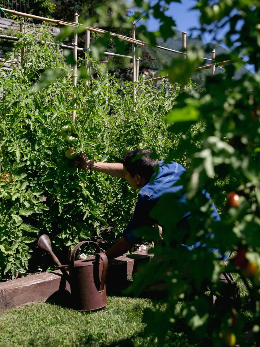 Francesco The Gardener Giada Mariani