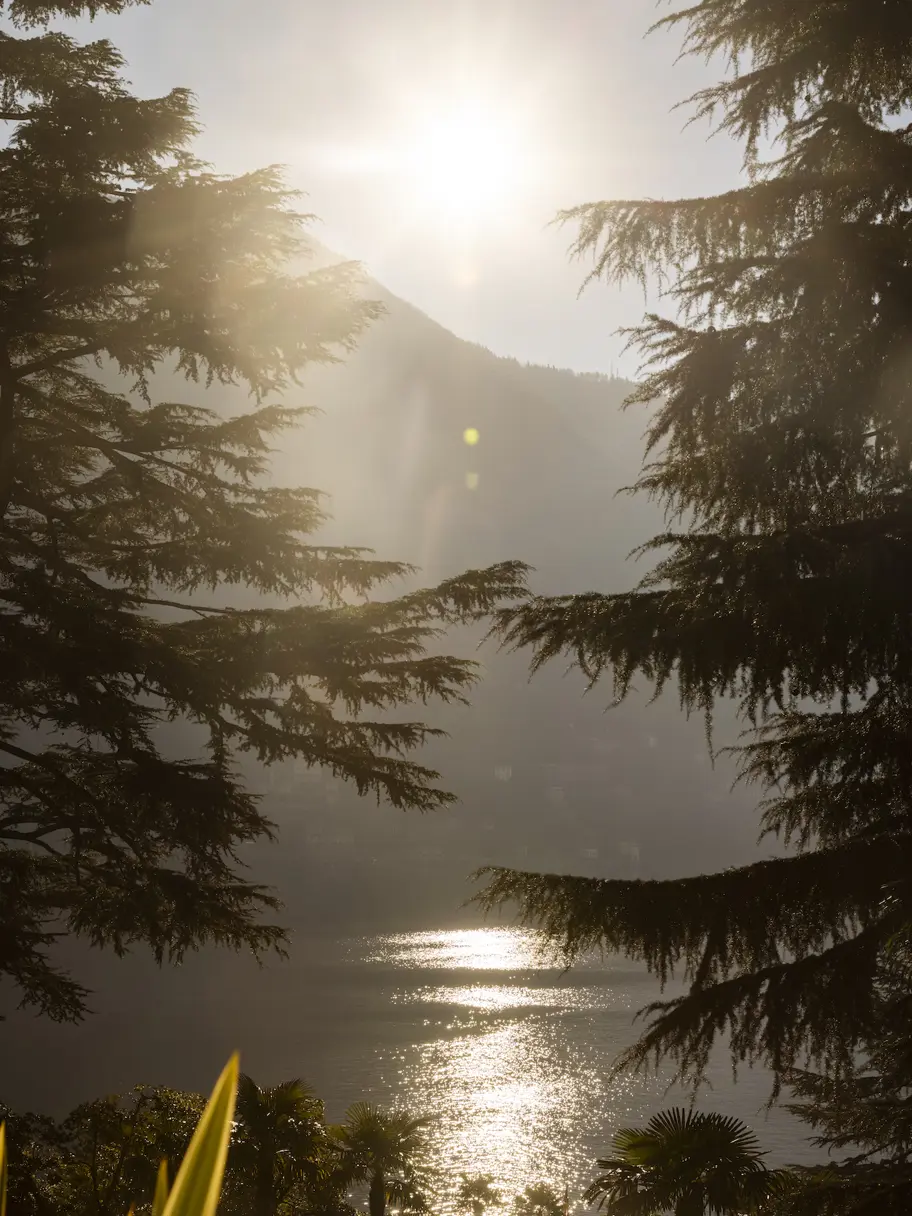 Passalacqua Lake Como Gardens 2