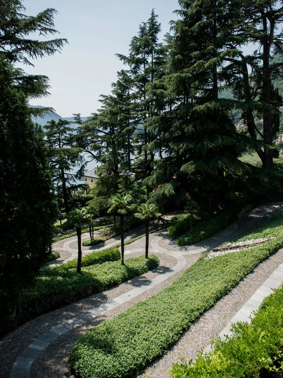 Path Among The Terraces Ricky Monti